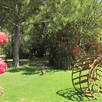 Salcino Agroturismo