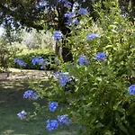 Agroturismo Salcino *