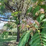 Salcino Agroturismo *