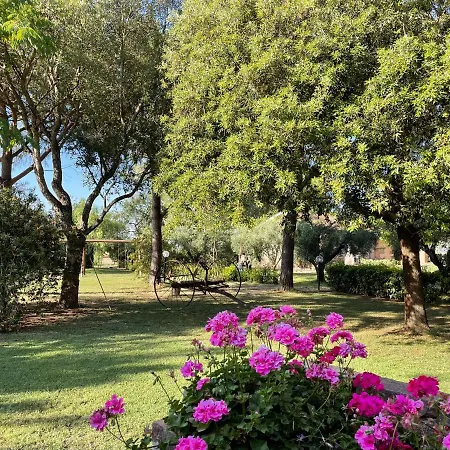 Farm stay Salcino