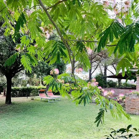 Salcino Grosseto