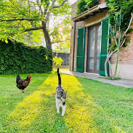 Salcino Gospodarstwo agroturystyczne *
