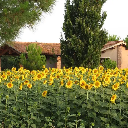 Salcino Feriegård Grosseto