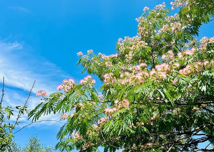 Salcino Гроссето